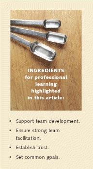 INGREDIENTS
for professional learning highlighted in this article:
- Support team development.
- Ensure strong team facilitation.
- Establish trust.
- Set common goals.