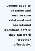 Groups need to examine
and resolve core relational and operational questions before they can work together 
effectively.