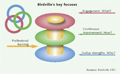 Birdville's key focuses